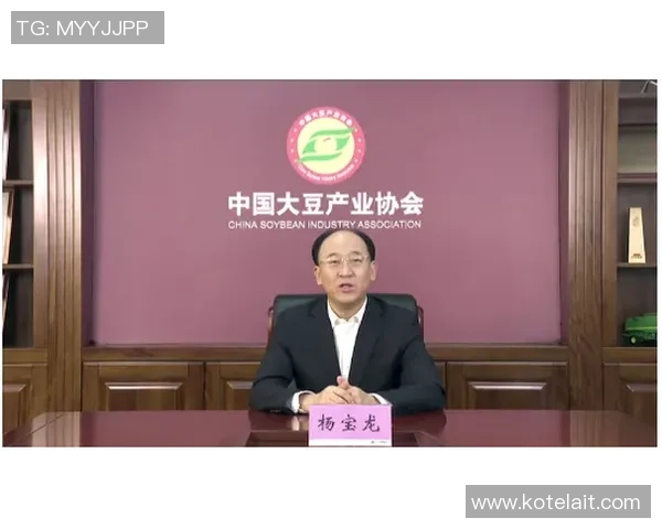 乒乓球传奇王强的职业生涯回顾与未来展望对话录