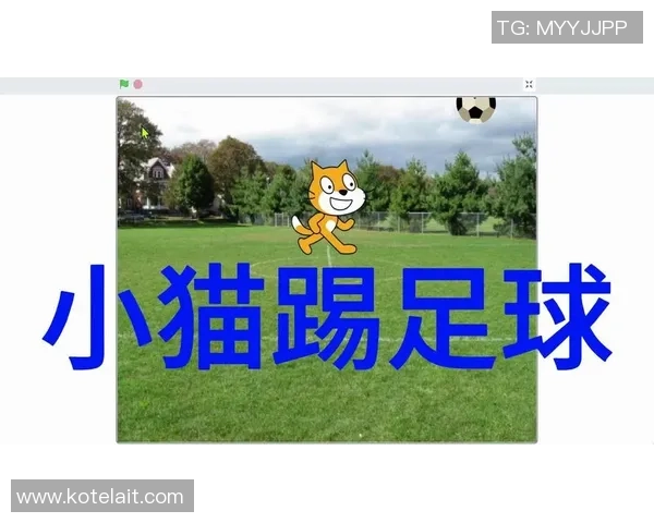 小猫踢足球的趣味冒险与友谊的温馨故事 小猫踢足球的趣味冒险与友谊的温馨故事