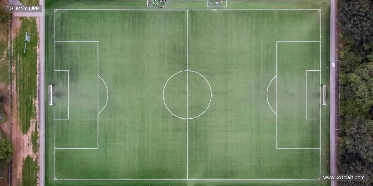 从训练场到直播间，你的热爱全程在线！📱